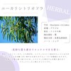 Eucalyptus Citriodora (Lemon Eucalyptus) 30ml e-aroma Essential Oil Essential Oil
