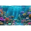 Under The Sea Aquarium Background Turquoise Underwater World Theme Terrarium