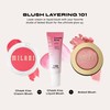 Milani Baked Blush, Powder Blush for Cheeks, Cruelty Free Makeup
