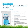 North Star Grass Seed | Premium Kentucky Bluegrass & Tall