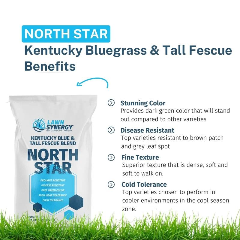 North Star Grass Seed | Premium Kentucky Bluegrass & Tall