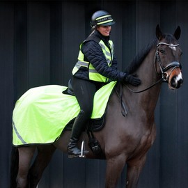 Masta High Viz Mesh Wrap Around Horse Exercise Sheet Yellow