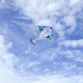 In the Breeze 3333 — Manatee 45" Fly-Hi Kite — Colorful, Fun Single-Line Kite