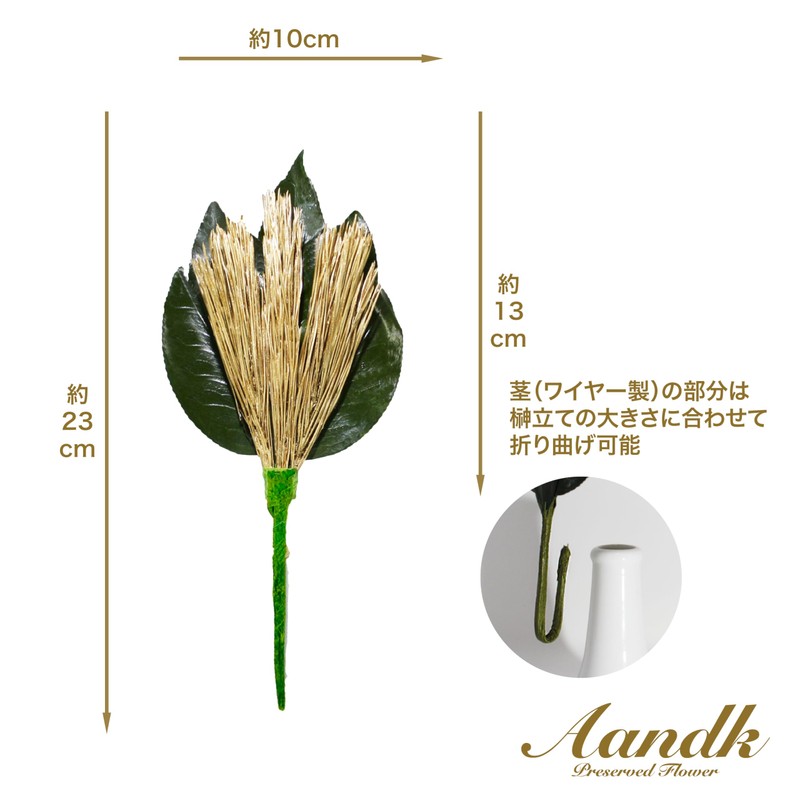 Kokumi Kojin pine Gold SS (Camellia Leaves / Gold Pine
