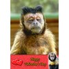 Monkey Animal Valentines Day Card