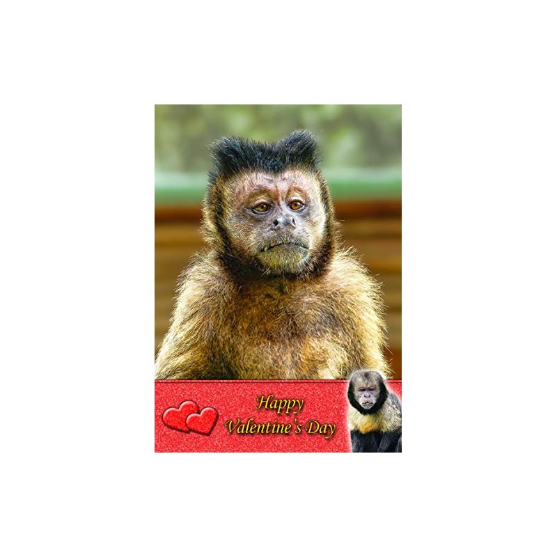 Monkey Animal Valentines Day Card
