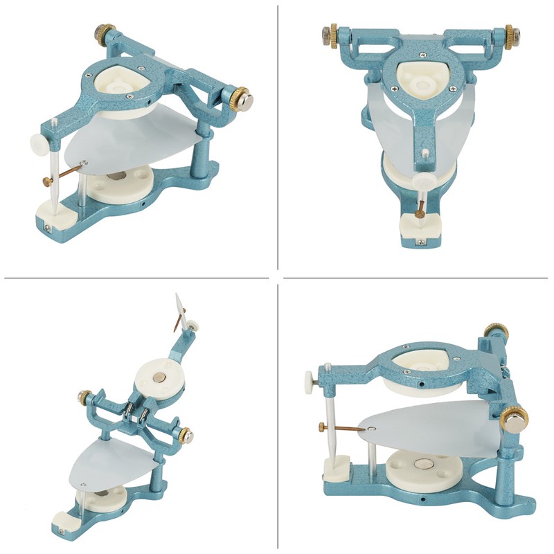 9 in 1 Dental Lab Large Size Full Mouth Adjustable