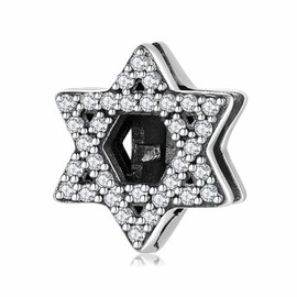 MEITAIHE Initial A-Z Letter Charm Alphabet Beads Reflexion Charms 925 Sterling Silver Reflexions Heart Dangle Clip Charm Birthday Bracelets for Women (Star)