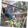 BESPORTBLE Bird Feeder Hanging Fork for Parrots Durable Vegetable Fruit