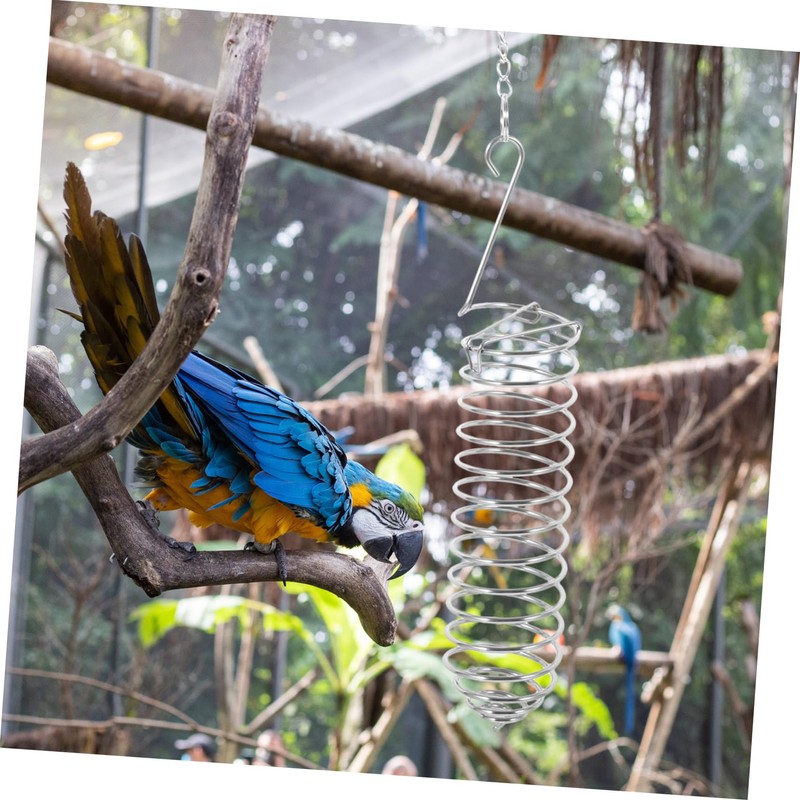 BESPORTBLE Bird Feeder Hanging Fork for Parrots Durable Vegetable Fruit