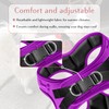 Comfort Fit No Pull Dog Harness – Adjustable Step-in Vest