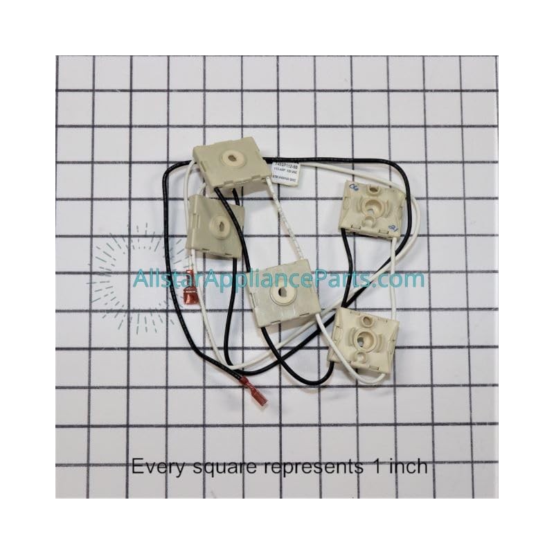 12002791 Range Spark Ignition Switch and Harness