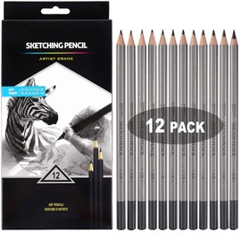 12 Pcs Lapices de Dibujo Profesional Kit de Dibujo Lápices de Dibujo Juego Para Dibujar y Dibujar Con Borradores Carbón Palo Sacapuntas Art Para Artistas Adultos Recargas de Color y Negro Para Proyectos de Dibujo Escritura Artesanía Dibujo de Arte Carpin