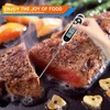Digital Kitchen Thermometer, Nasharia Household Thermometer, Cooking Thermometer with Long