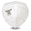 Honeywell Safety DF300 H910P N95 Flatfold Disposable Respirator - Box