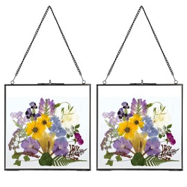 JUXYES Set of 2 Brass Wall Hanging Photo Frame, Glass Floating Frame for Display Pressed Flowers Artwork, Double Glass Floating Frame Style Square Gallery Wall Frame for Photo Picture Poster etc