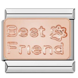 Best Friend Dog Cat Paw Rose Gold Silver 9mm Italian Charm Compatible With Nomination Bracelet