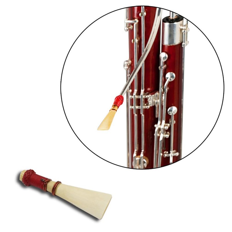 Artist Bassoon Reed with Plastic Case, Medium Soft, Handcrafted for