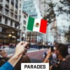 G128 24 Pack Handheld Mexico Mexican Stick Flags 4x6 In