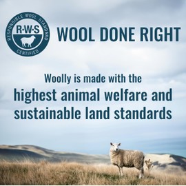 Women's V-Neck T-Shirt, RWS Certified Merino Wool, Desigined in Seattle - Plum Purple - L