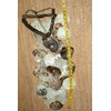 Large Seashell Windchime, Makes Mellow Tropical Breeze Sounds in The