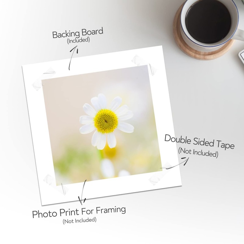 Golden State Art, 8x8 White Backing Board, Backer Boards for