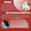Meso - Kit Reductor Abdominal + Lipoenzimas 90 Cápsulas