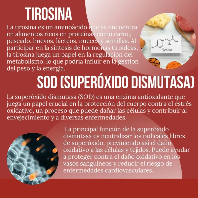 Meso - Kit Reductor Abdominal + Lipoenzimas 90 Cápsulas