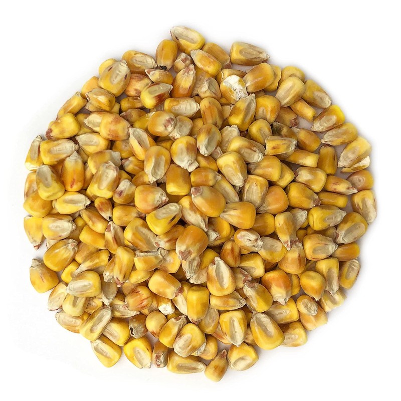 Food to Live Organic Yellow Whole Corn, 1.5 Pounds -