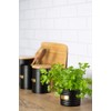 Typhoon Otto Black Herb Flower Pot