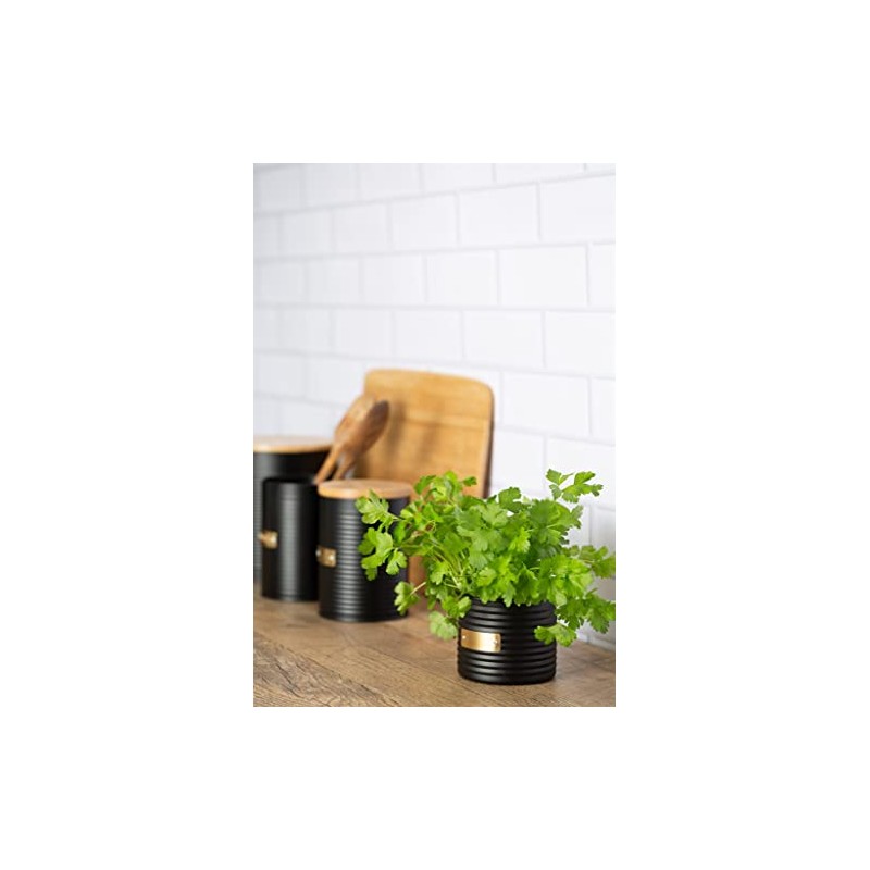 Typhoon Otto Black Herb Flower Pot