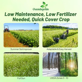 Outsidepride Buckwheat Seeds - 20lbs Annual, Fast-Growing, Easy to Grow Buckwheat Cover Crop Seeds for Green Manure, Bee Pasture & Pollinators, Wildlife Habitat, Soil Improvement, and Erosion Control