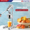 Moongiantgo Commercial Manual Juicer, Hand Press Citrus Juicer Extractor with