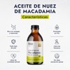 Hebbe - Aceite de Nuez de Macadamia 100 Puro, Hidratante