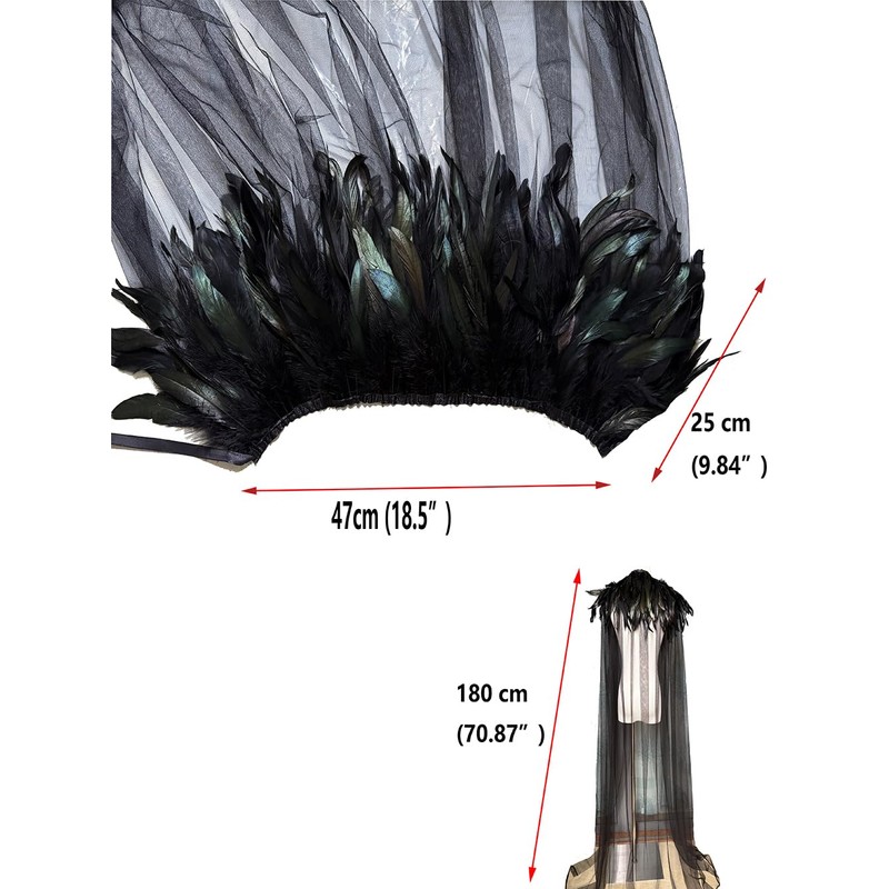Yoodeet Gothic Feathered Cape, Black Sheer Mesh with Feather Collar,