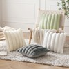 MIULEE Set of 2 Plush Cushion Covers, Faux Fur, Decorative