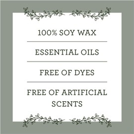 Our Own Candle Company Soy Wax Aromatherapy Candle, Simply Sage, 6.5 Ounce