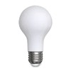 GE 31186 LED Classic Daylight A21 Light Bulb, 13 W,