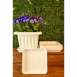 Home Garden Ornaments Saucer Flower Pot Square White 29 x 29 cm Set of 5 - Durable Flower Pot Saucer Square - Decorative Base for Flower Pots (29 x 29 cm, White)