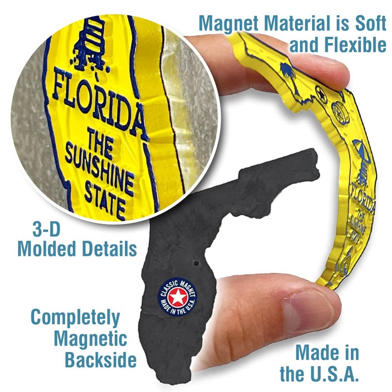 Florida Small State Magnet by Classic Magnets, 2.9" x 2.4",