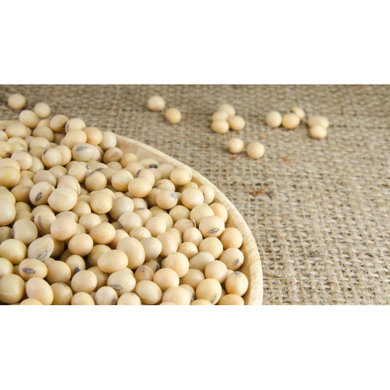 Hunza Organic Soybeans (5 lbs)
