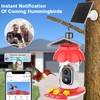 Hummingbird Feeder with Camera, Smart Hummingbird Feeder Camera Solar Powered
