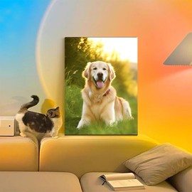 HMDIIMGE DIY Animal Diamond Painting, A Happy Golden Retriever Diamond Painting Kits for Adults, Dog Full Circle Diamond Art Kits, for Room Decor Home Wall Decor 12x16 inch