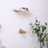 Cat Hammock, Cat Wall Shelves Bed with 2 Steps Perches