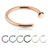 Autiga Nose Ring Nose Piercing Horseshoe Ring Nose Hoop, Stainless
