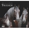 Cal. 2024 Frisian