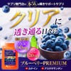 ogaland 111000110971001 Blueberry Premium Eye Supplement (30 Tablets / Approx.