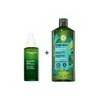 Sérum Equilibrante Cuero Cabelludo + Shampoo Yves Rocher