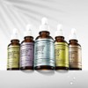 Dr.Ogiderm Expert Ampoule 30ml 5 types Moisture Serum Elasticity Whitening Trouble Soothing Collagen Expert Anti-Wrinkle Ampoule / 닥터오기덤 엑스퍼트 앰플 30ml 5종 수분 세럼 탄력 미백 트러블 진정 콜라겐 엑스퍼트 안티링클 앰플