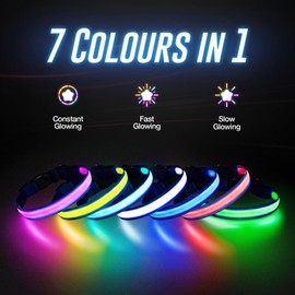 5200RGB Luminous Rabbit Band Blue-M